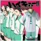 Haikyuu! - Uniforme Aobajosai