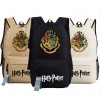 Mochila de Harry Potter - Varios modelos